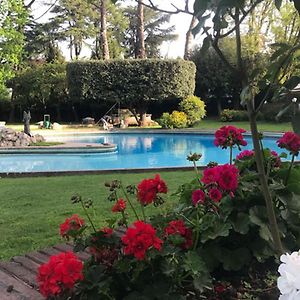Villa Albina